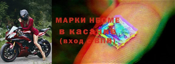 сатива Кулебаки