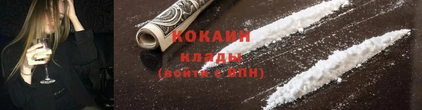 сатива Кулебаки