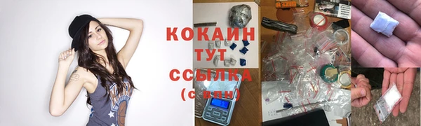 сатива Кулебаки