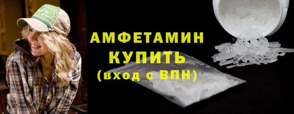 сатива Кулебаки