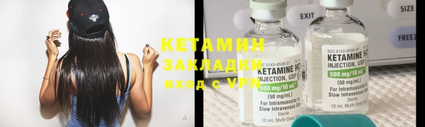 сатива Кулебаки