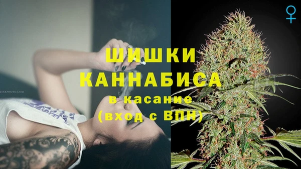 сатива Кулебаки