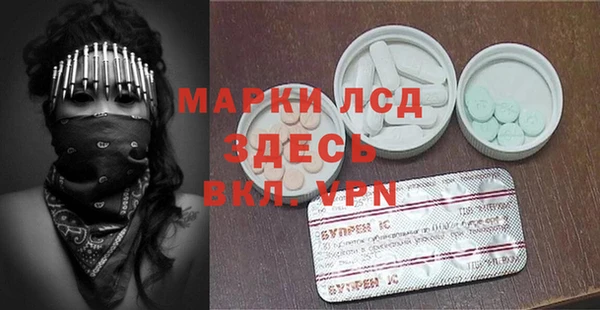 сатива Кулебаки