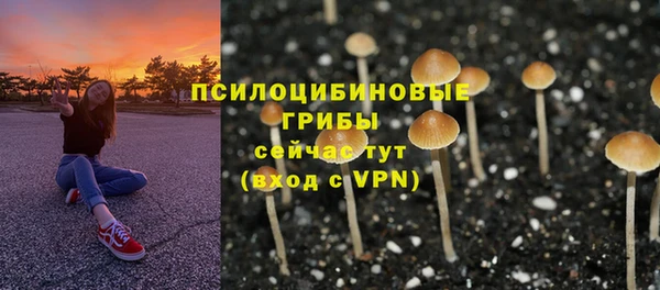 а пвп мука Кукмор