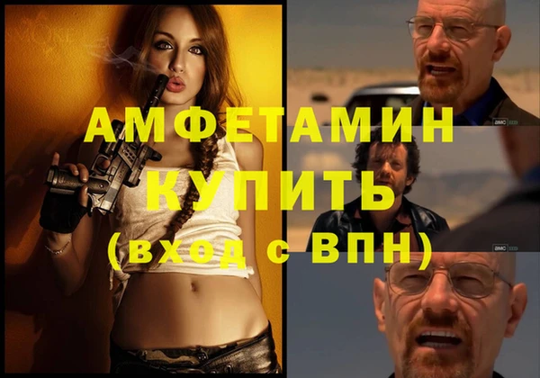 сатива Кулебаки