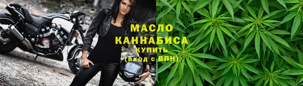 сатива Кулебаки