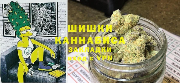 сатива Кулебаки