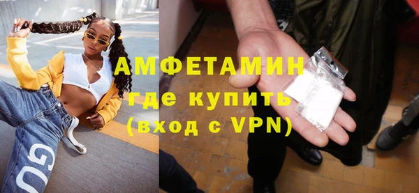сатива Кулебаки