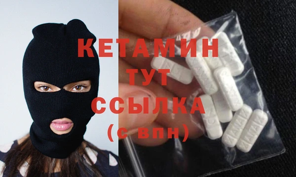 сатива Кулебаки