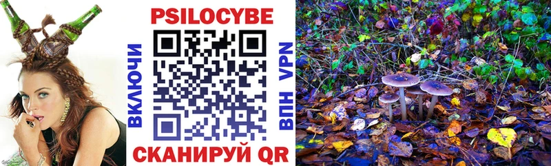 Псилоцибиновые грибы Magic Shrooms  дарк нет как зайти  Купино  наркотики 